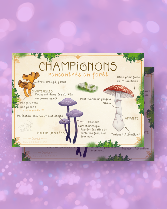 Champignons de la forêt